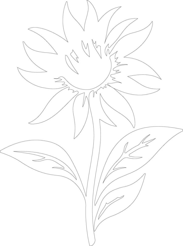 AI generated safflower  outline silhouette vector