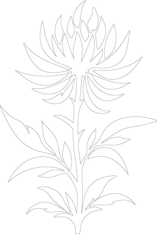 AI generated safflower  outline silhouette vector
