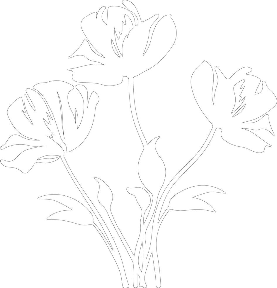 AI generated sego lily outline silhouette vector