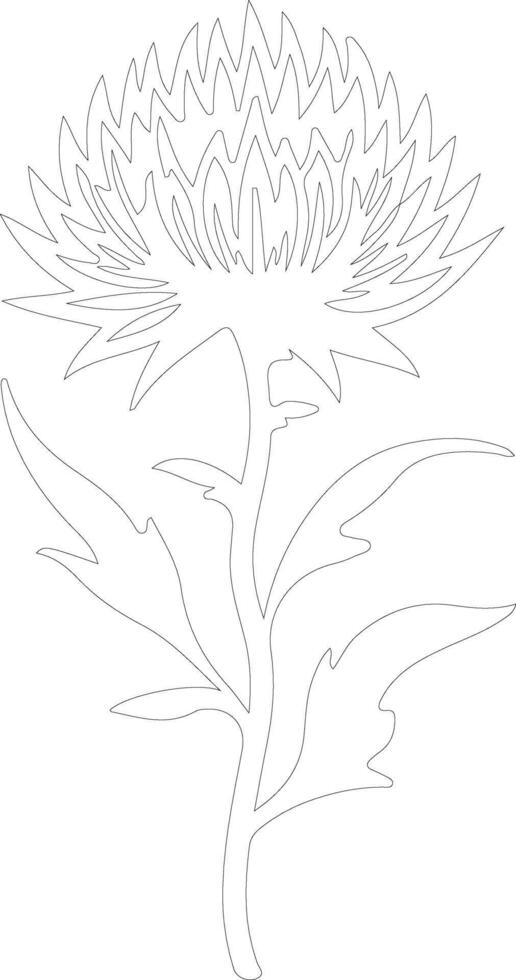 AI generated safflower  outline silhouette vector