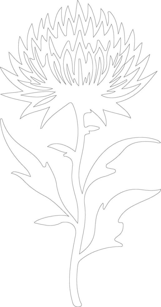 AI generated safflower  outline silhouette vector