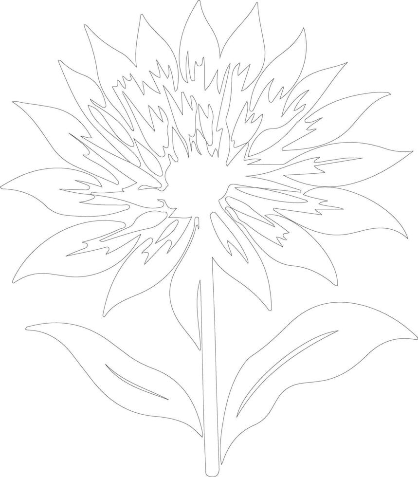 AI generated safflower  outline silhouette vector