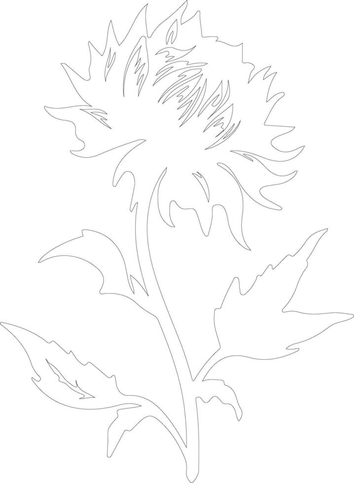 AI generated safflower  outline silhouette vector