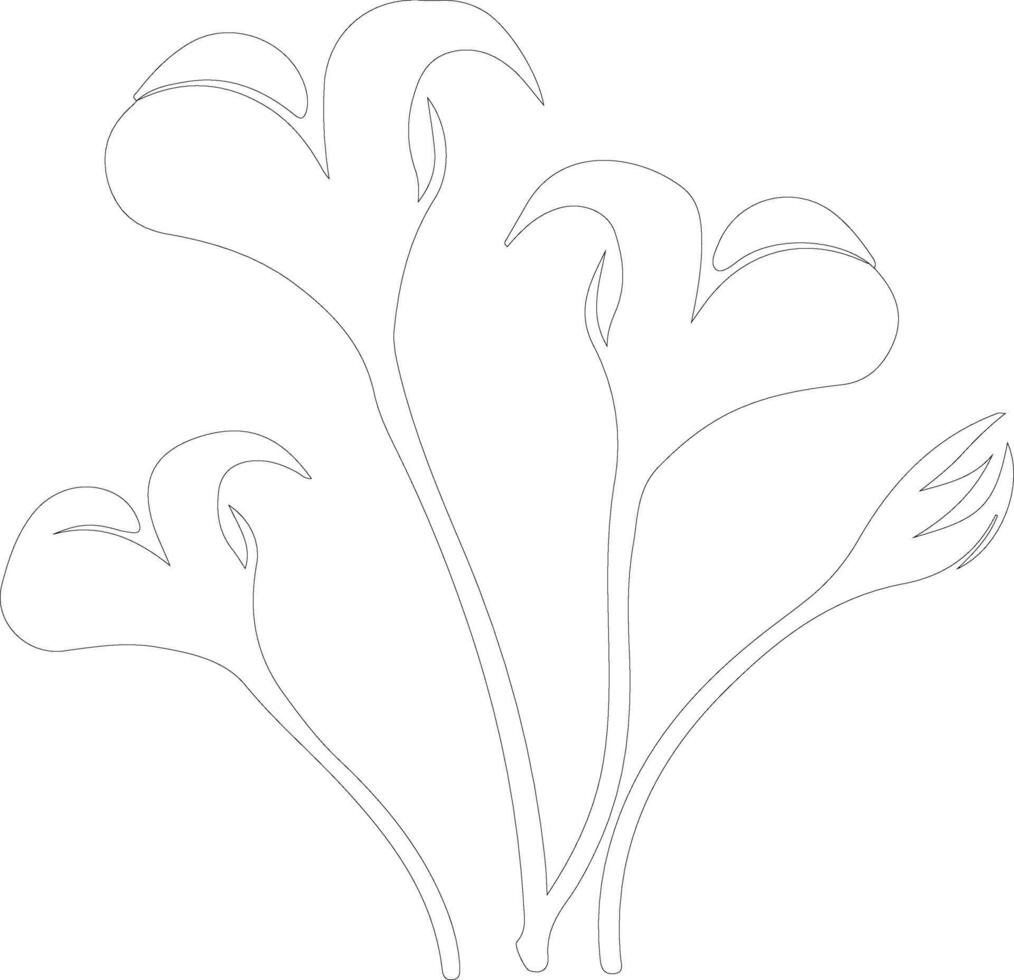 AI generated sego lily  outline silhouette vector