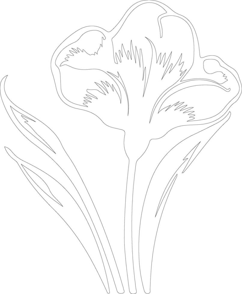 AI generated sego lily  outline silhouette vector