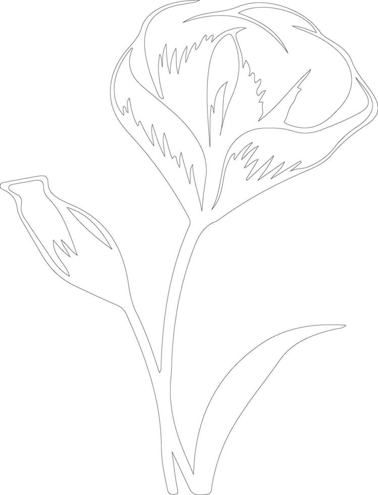 AI generated sego lily  outline silhouette vector