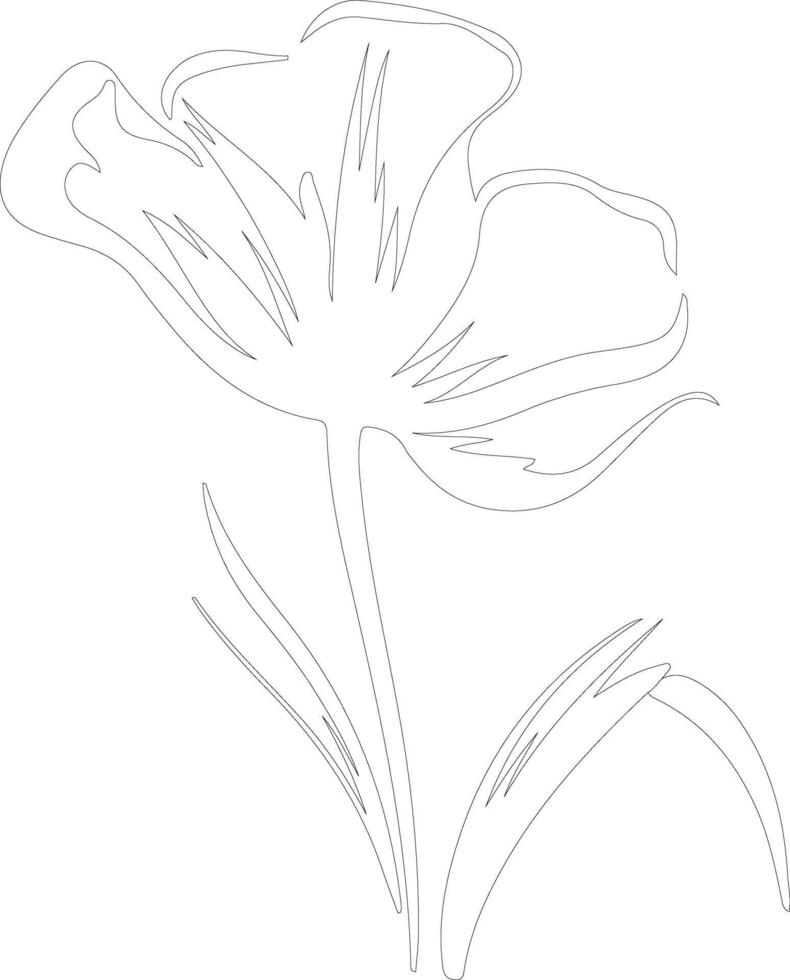 AI generated sego lily  outline silhouette vector