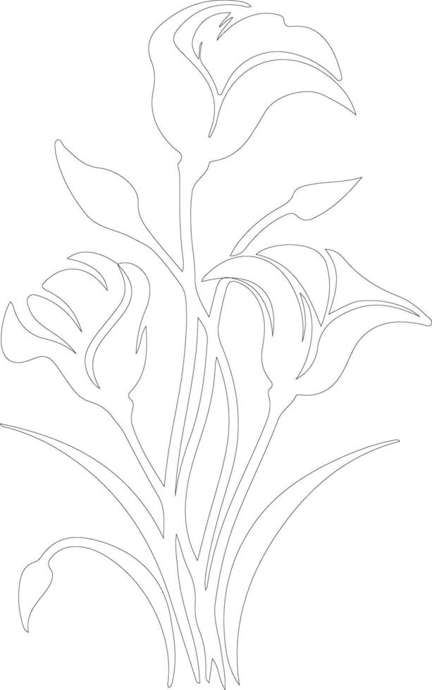 AI generated sego lily  outline silhouette vector