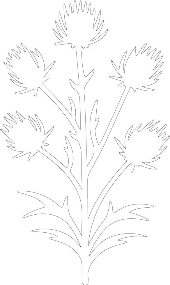 AI generated thistle  outline silhouette vector