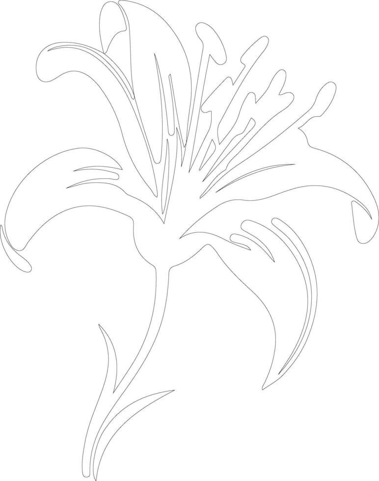 AI generated tiger lily  outline silhouette vector