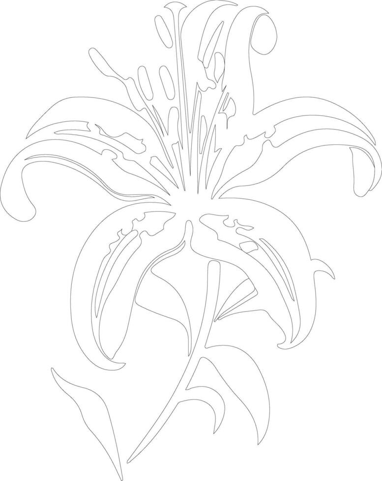 AI generated tiger lily  outline silhouette vector