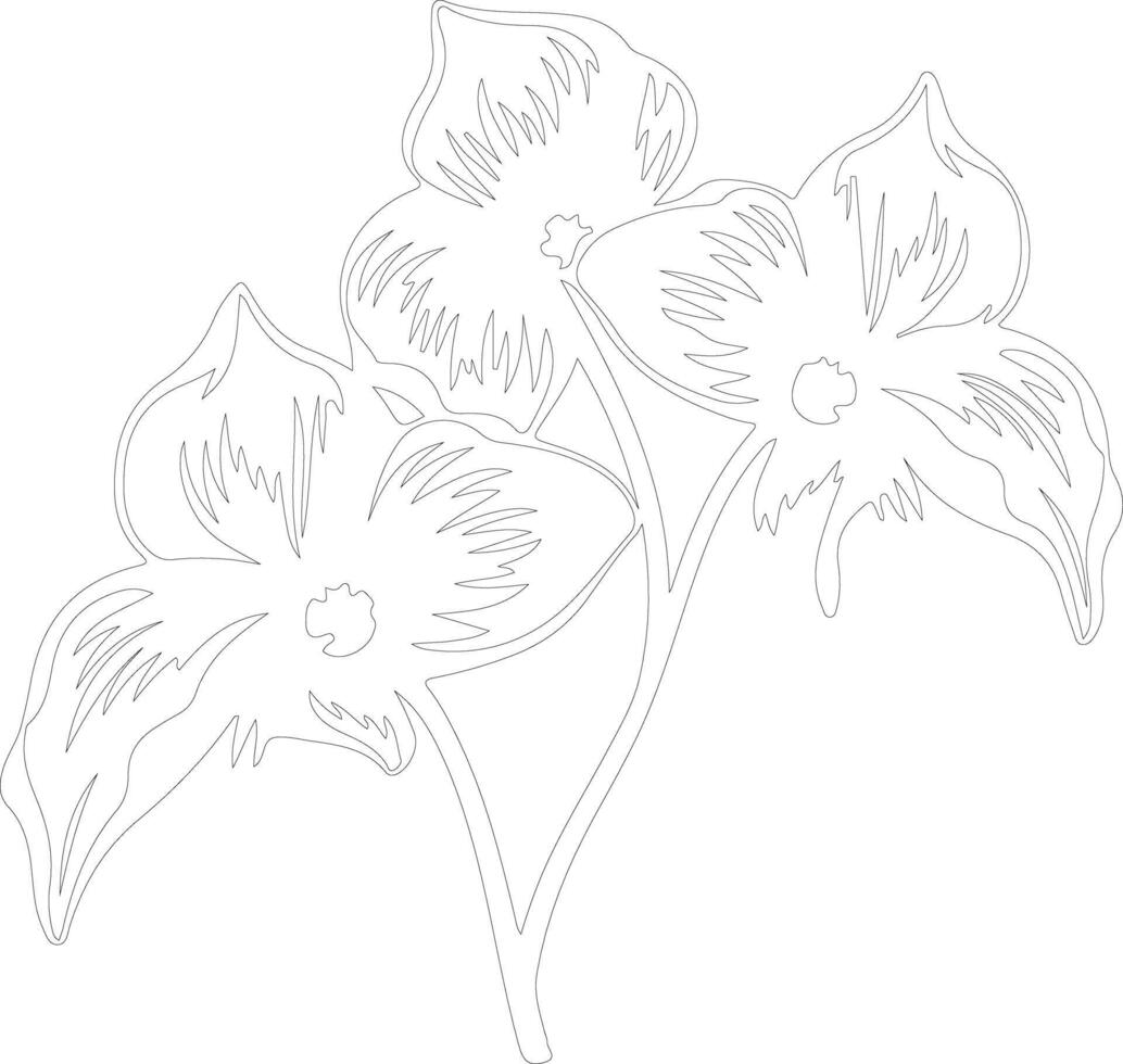 AI generated trillium  outline silhouette vector