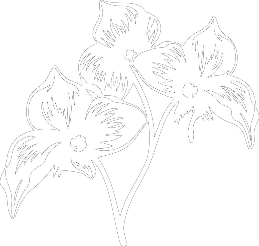 AI generated trillium  outline silhouette vector