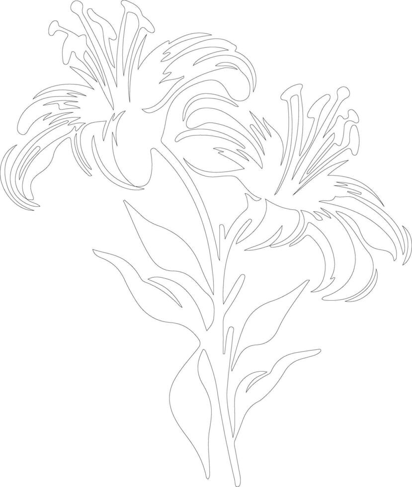 AI generated tiger lily  outline silhouette vector