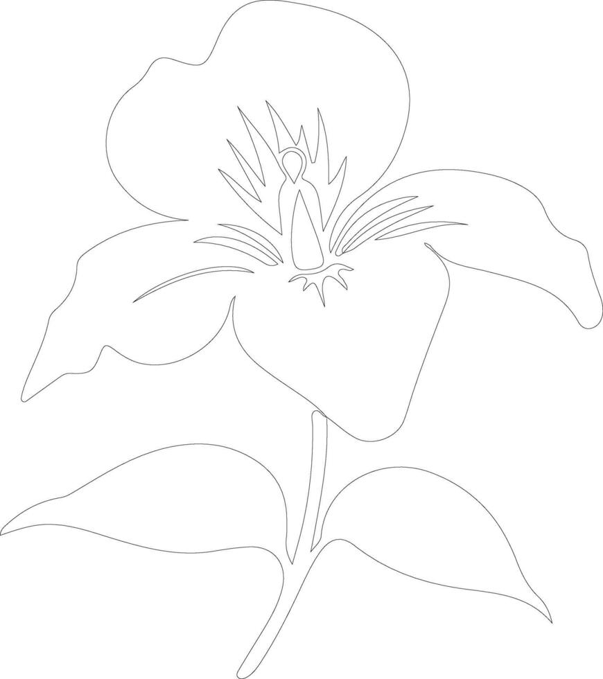 AI generated trillium  outline silhouette vector