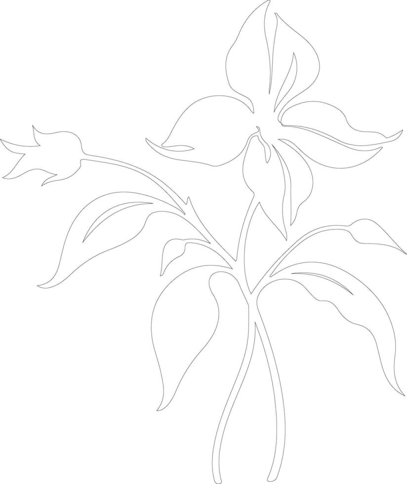 AI generated trillium  outline silhouette vector