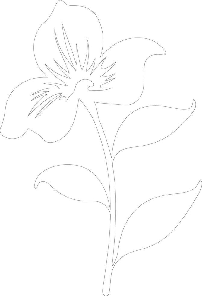 AI generated trillium  outline silhouette vector