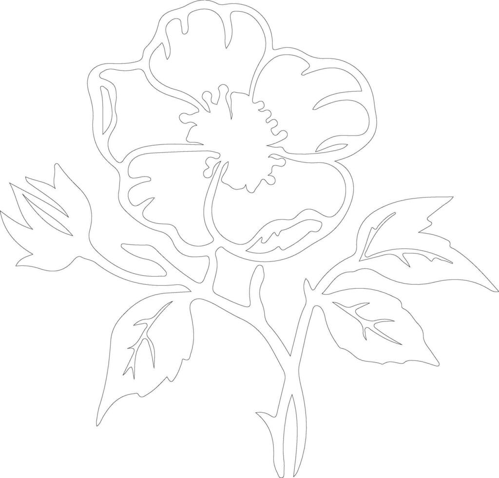 AI generated wild prairie rose  outline silhouette vector