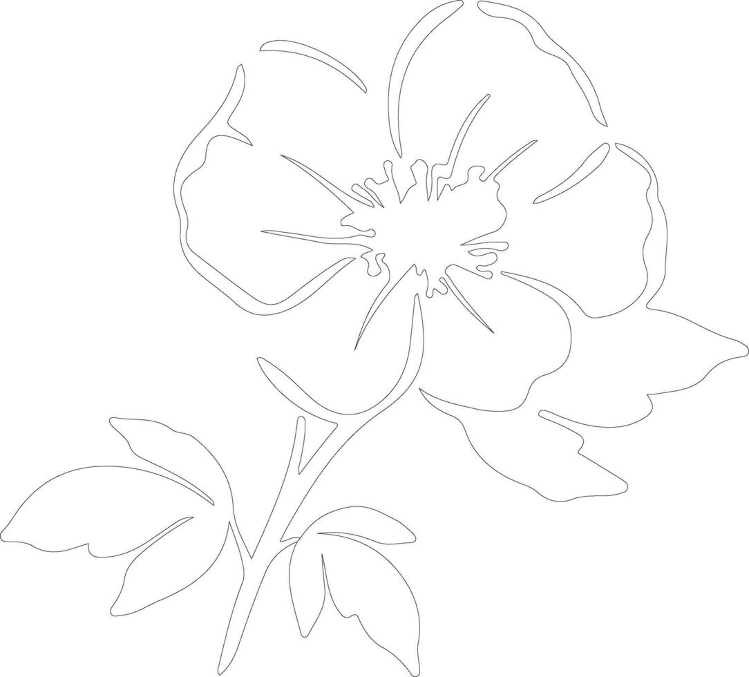 AI generated wild prairie rose  outline silhouette vector