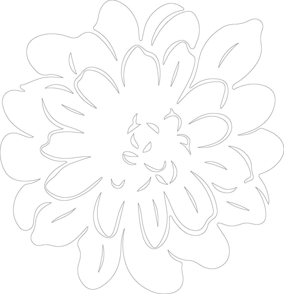 AI generated zinnia  outline silhouette vector