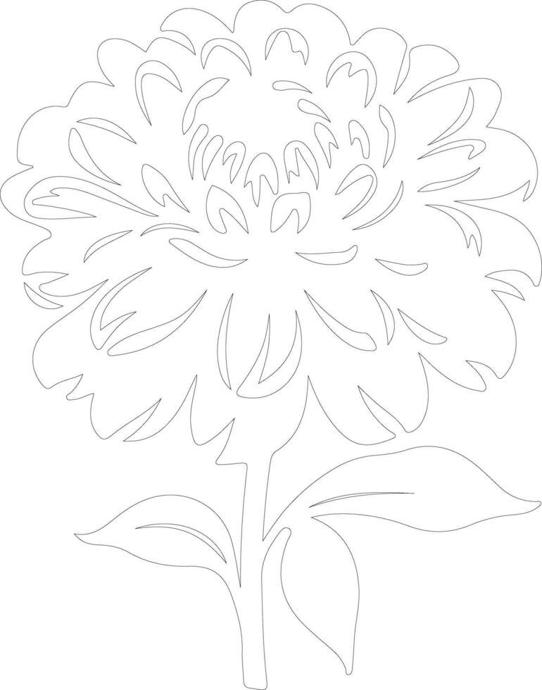 AI generated zinnia outline silhouette vector