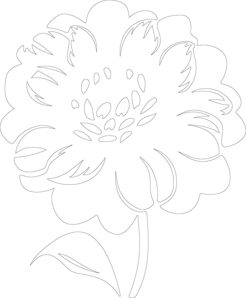 AI generated zinnia  outline silhouette vector