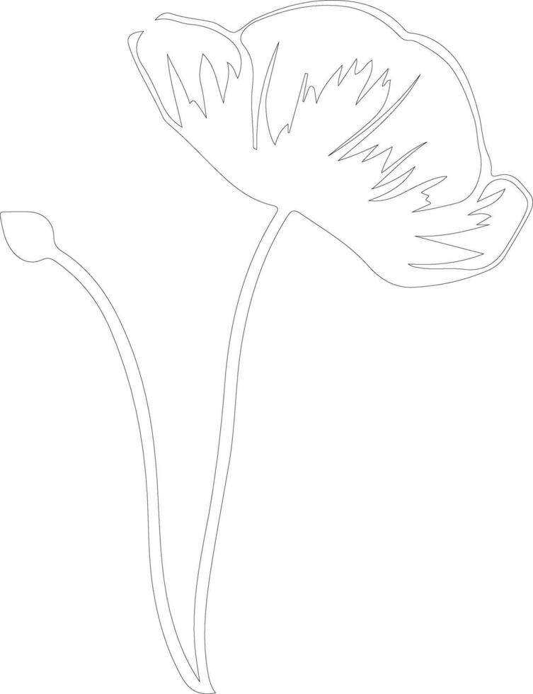 AI generated California poppy  outline silhouette vector