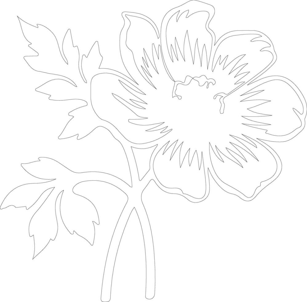 AI generated anemone  outline silhouette vector