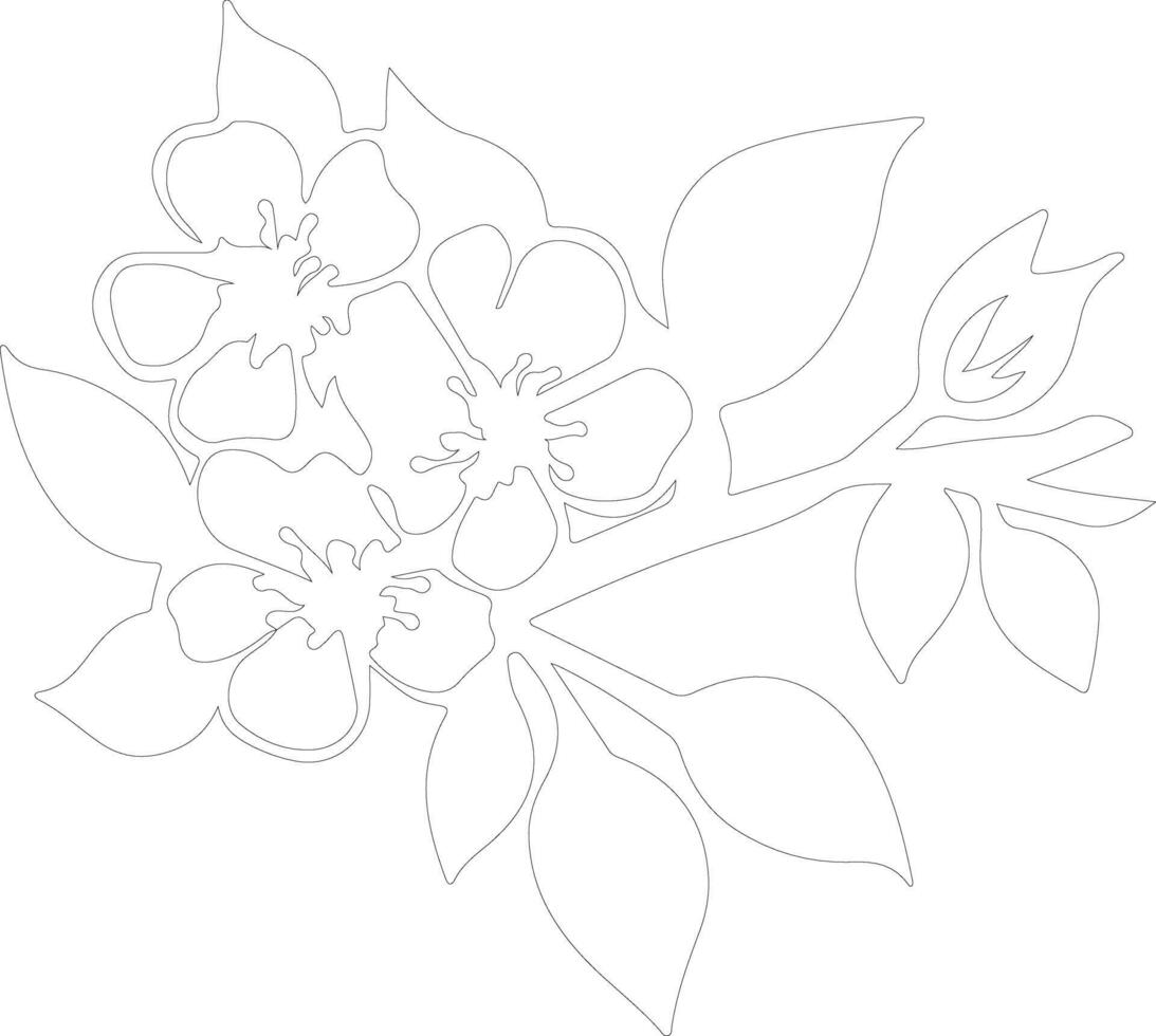 AI generated apple blossom  outline silhouette vector