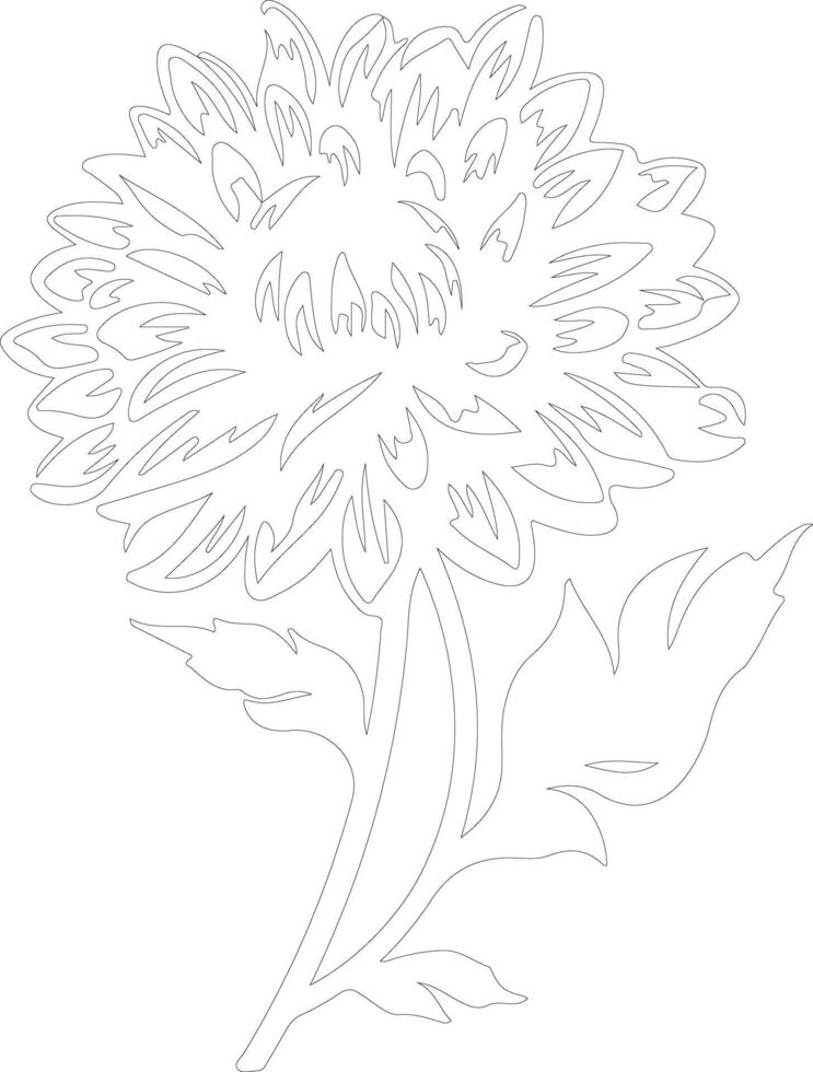 AI generated aster  outline silhouette vector