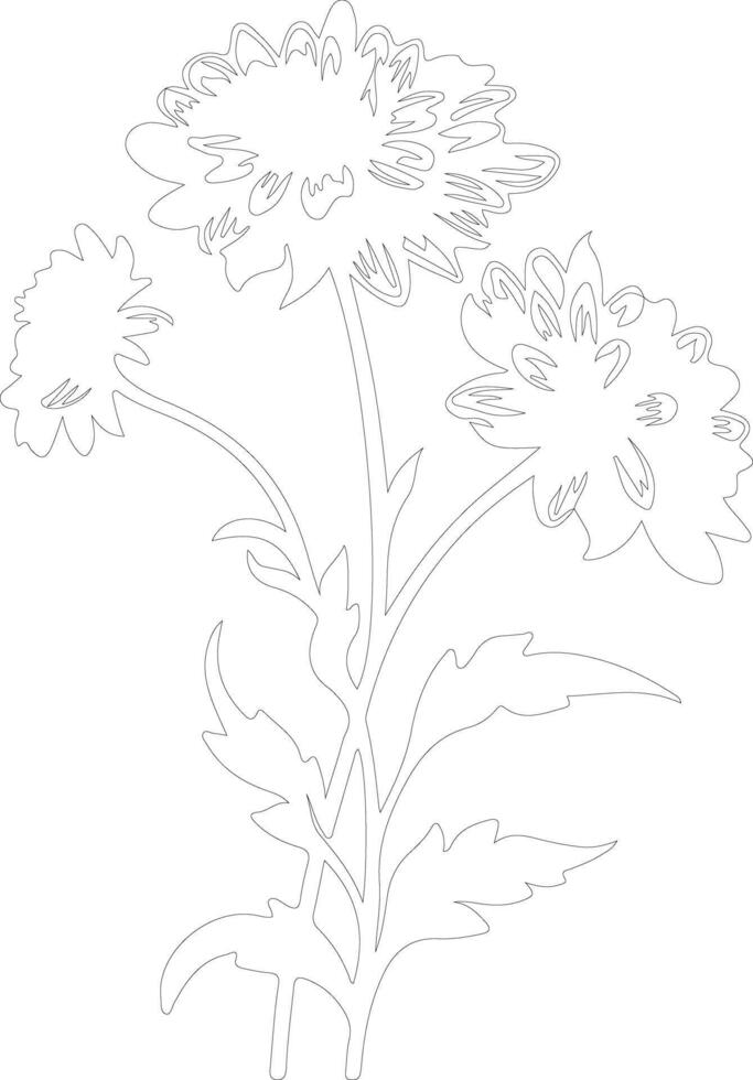 AI generated aster  outline silhouette vector