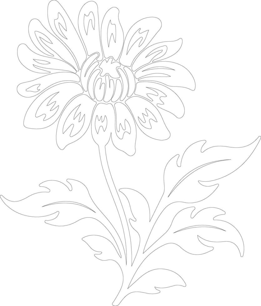 AI generated aster  outline silhouette vector