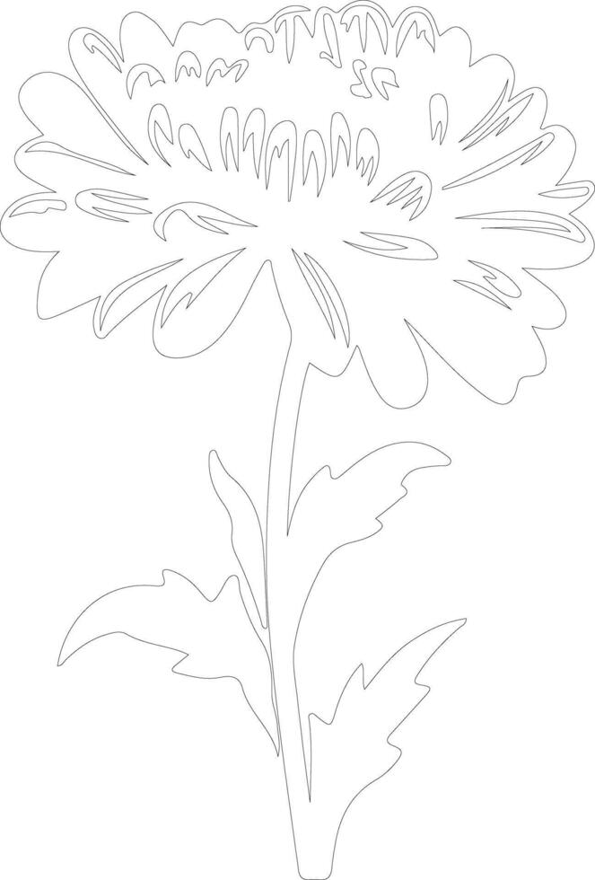 AI generated aster  outline silhouette vector