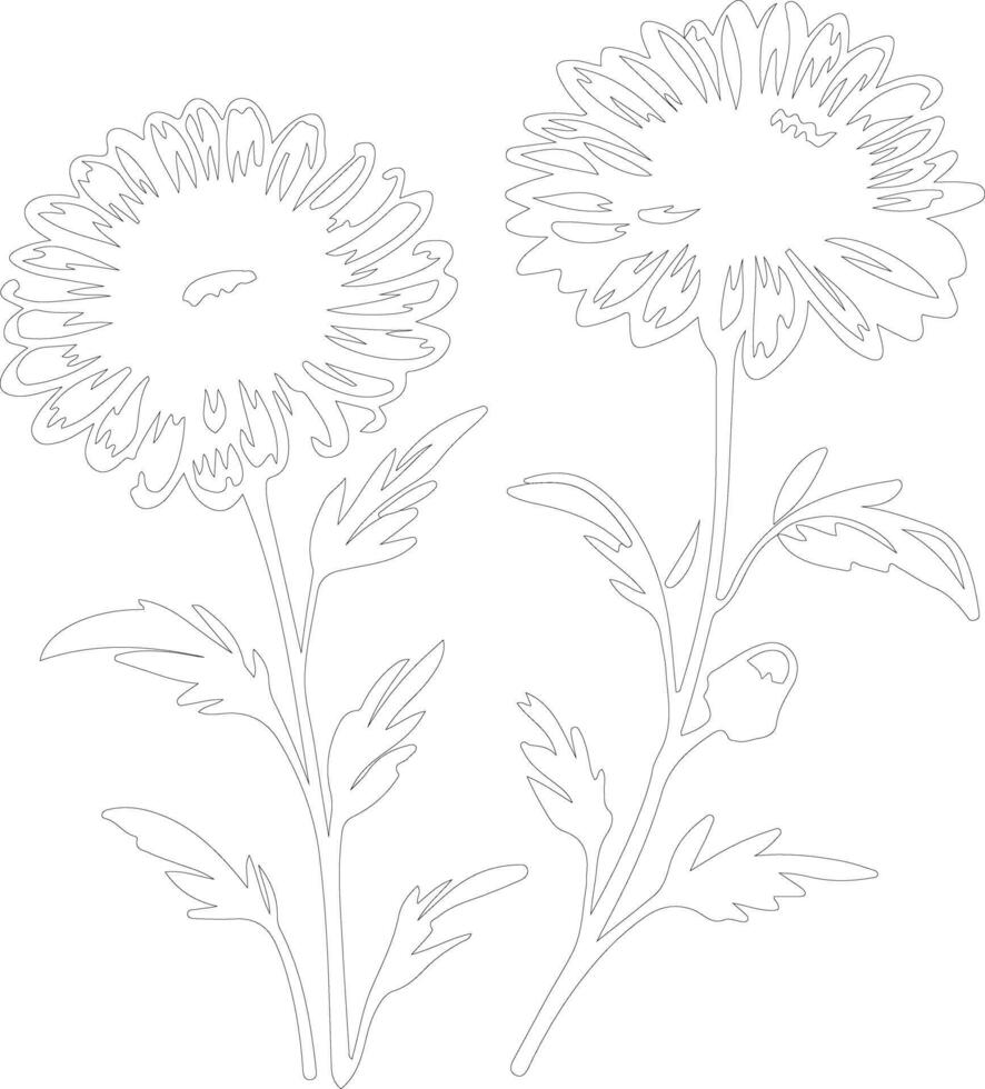 AI generated aster  outline silhouette vector