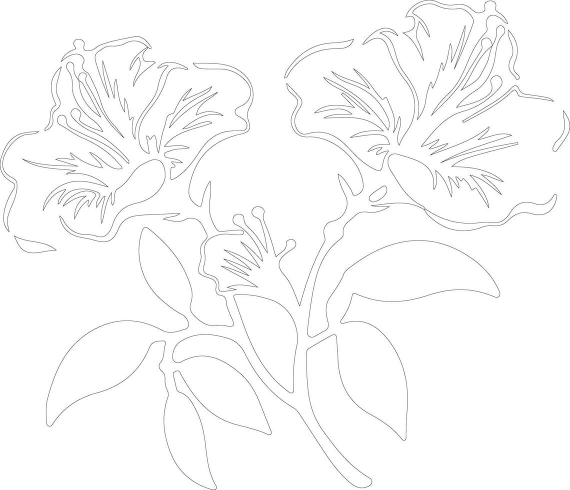 AI generated azalea  outline silhouette vector