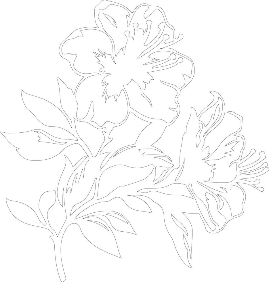 AI generated azalea  outline silhouette vector