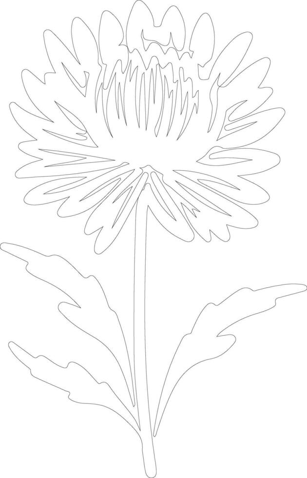 AI generated bachelor button  outline silhouette vector
