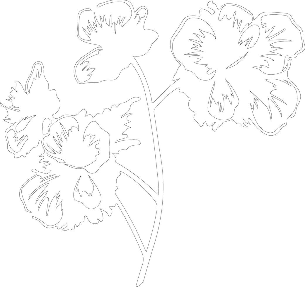 AI generated begonia  outline silhouette vector