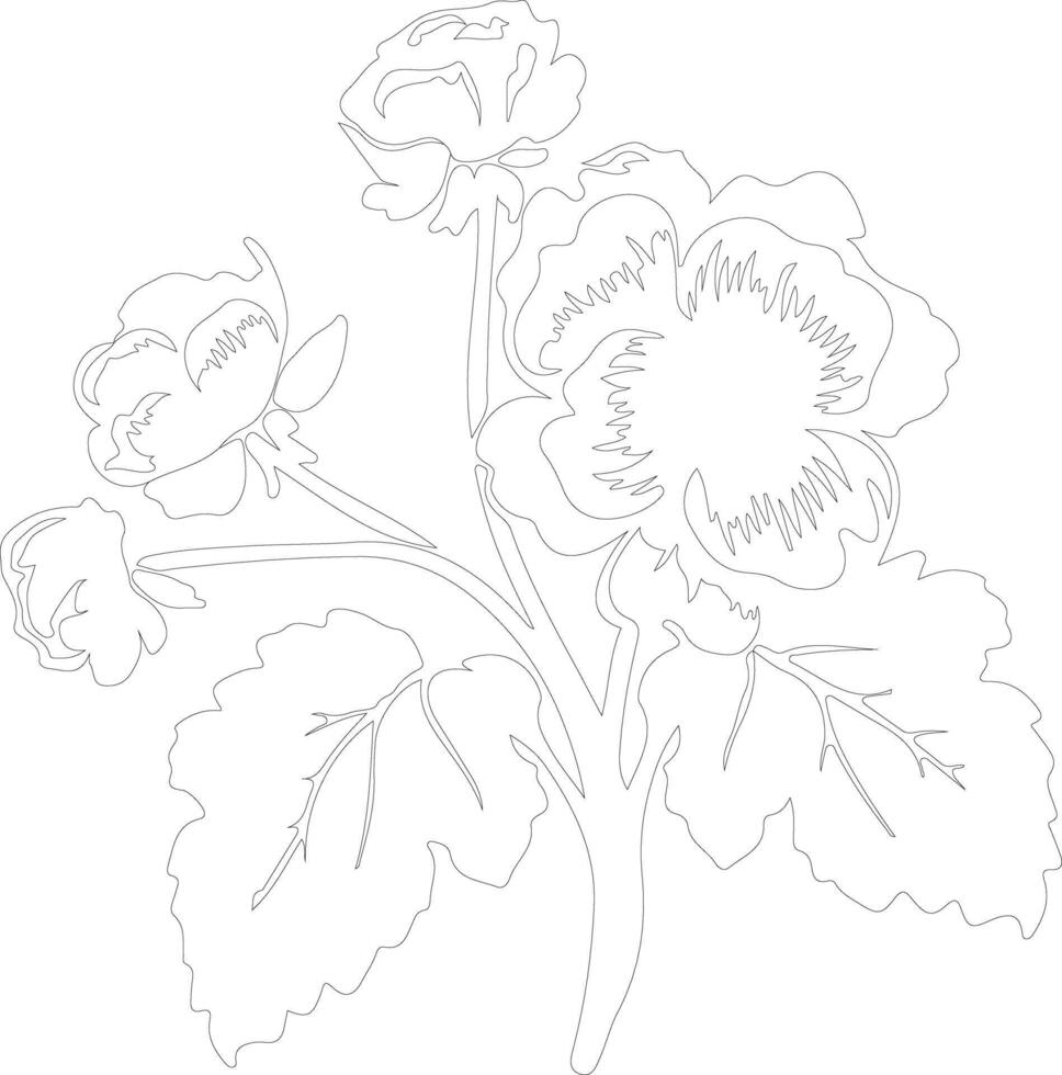 AI generated begonia  outline silhouette vector