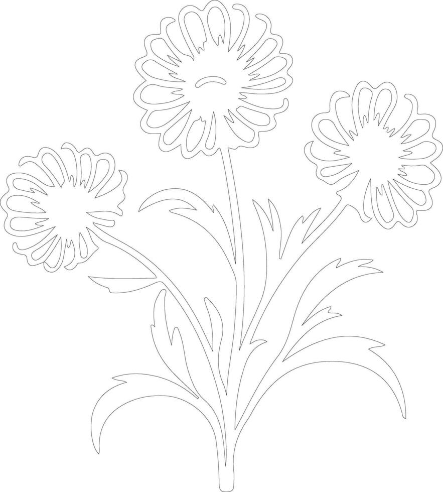 AI generated calendula  outline silhouette vector