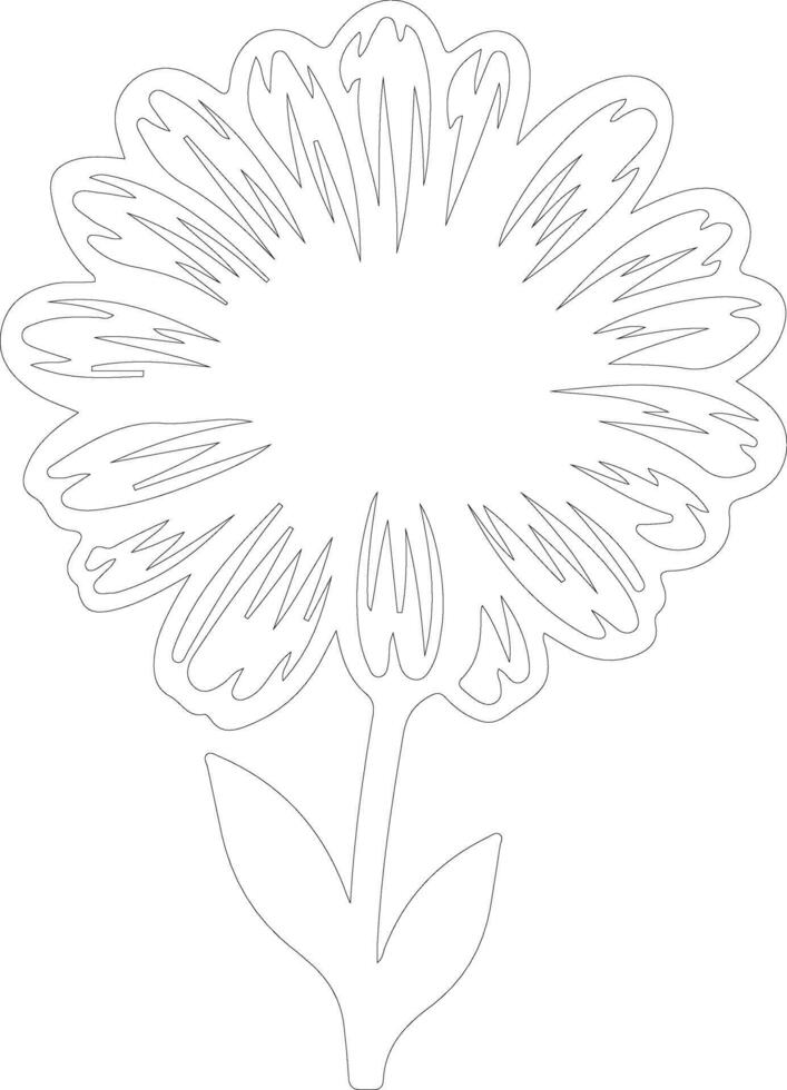 AI generated calendula  outline silhouette vector