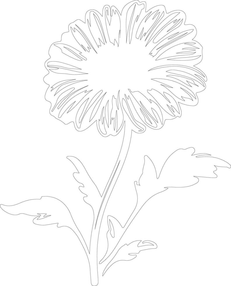 AI generated calendula  outline silhouette vector