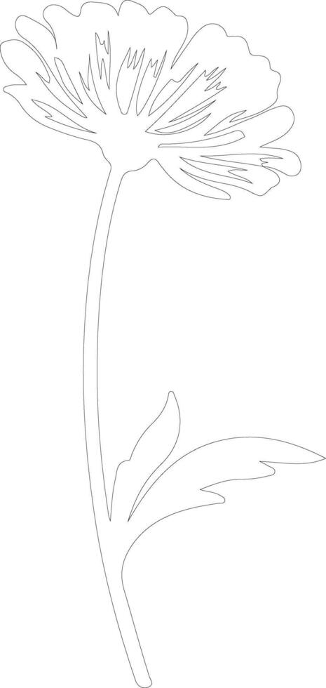 AI generated calendula  outline silhouette vector