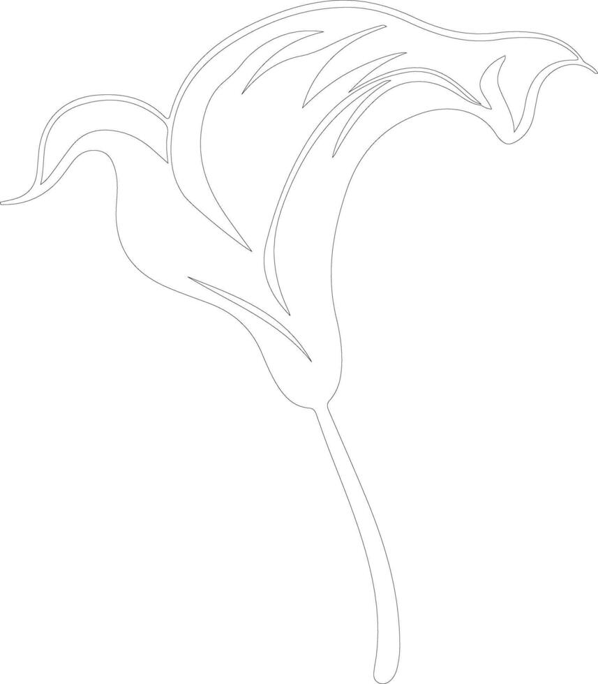 AI generated calla lily  outline silhouette vector