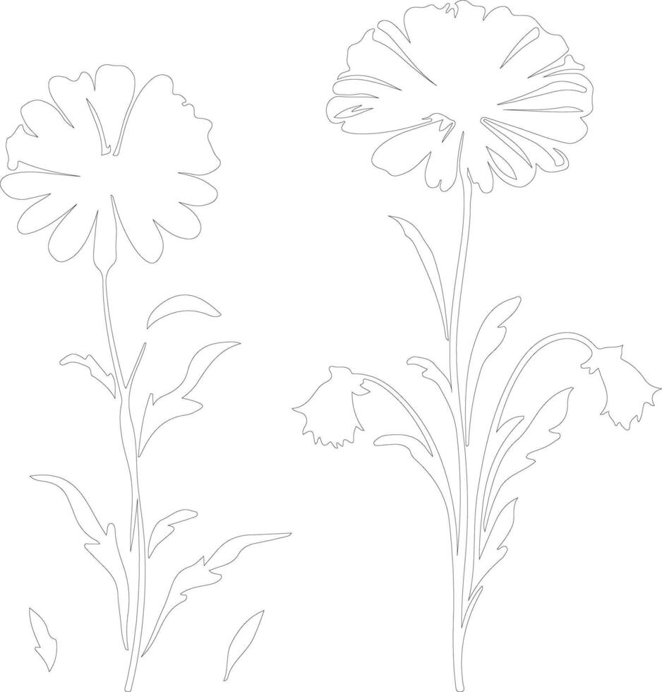 AI generated calendula  outline silhouette vector