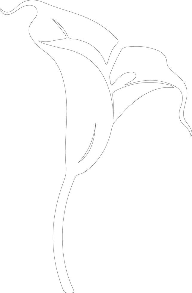 AI generated calla lily  outline silhouette vector