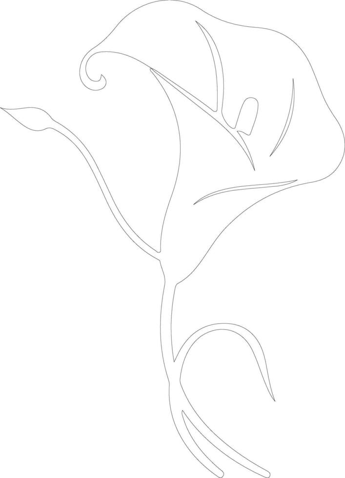 AI generated calla lily  outline silhouette vector