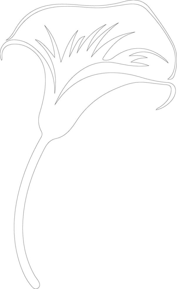 AI generated calla lily  outline silhouette vector