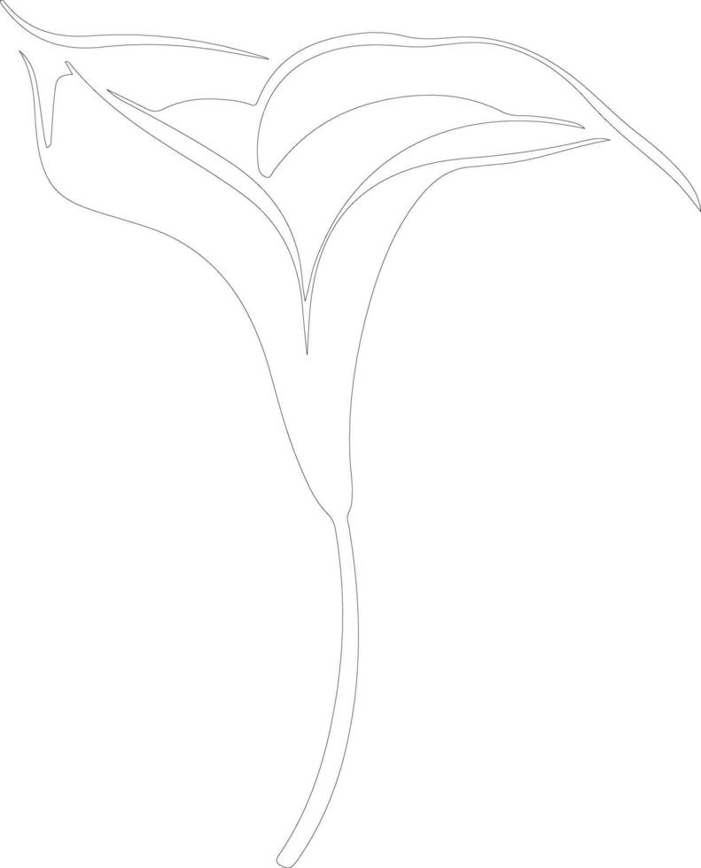 AI generated calla lily  outline silhouette vector