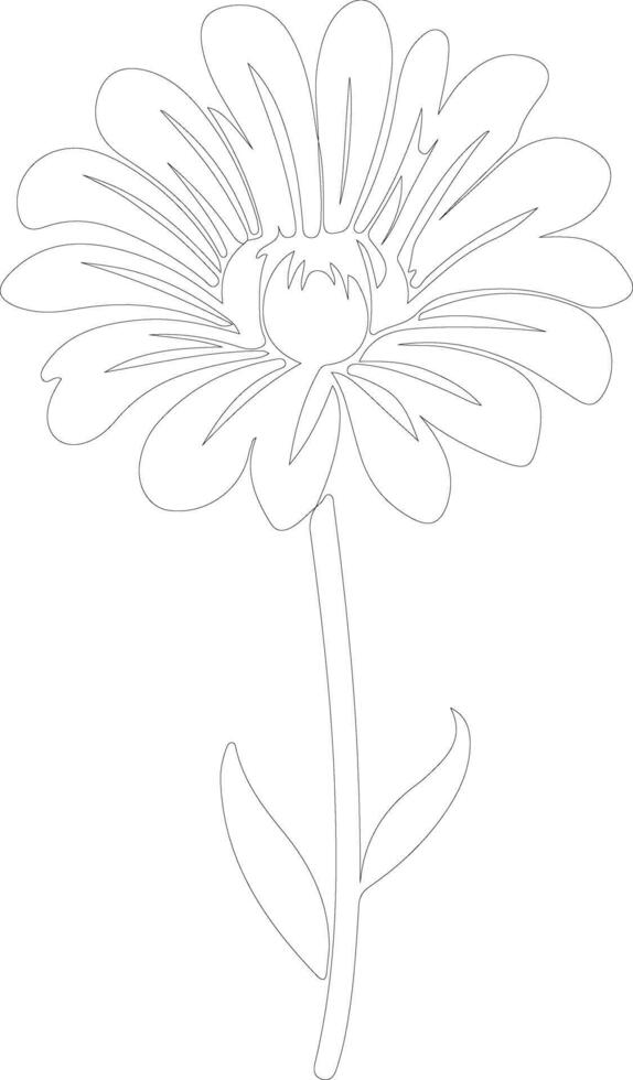 AI generated calendula  outline silhouette vector